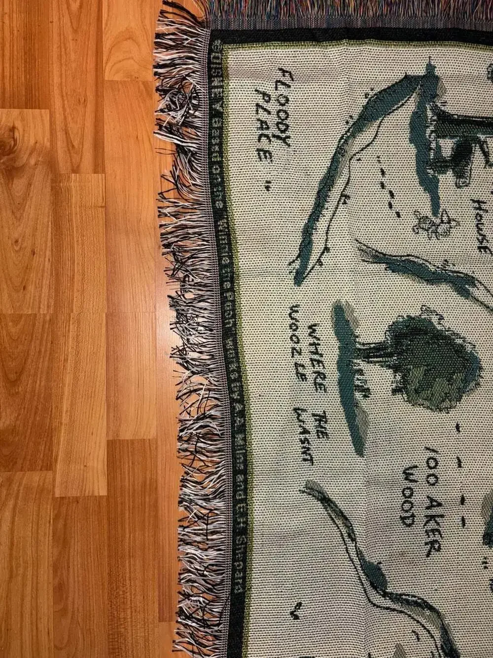 Disney Winnie the Pooh Hundred Acre Wood Map Woven Tapestry Throw Blanket